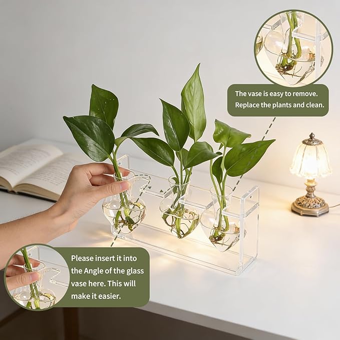 Clear Plant Propagation Station Plants Terrarium Planter Vase Birthday Gifts for Women Girl in Acrylic Stand Home Office Garden Decor