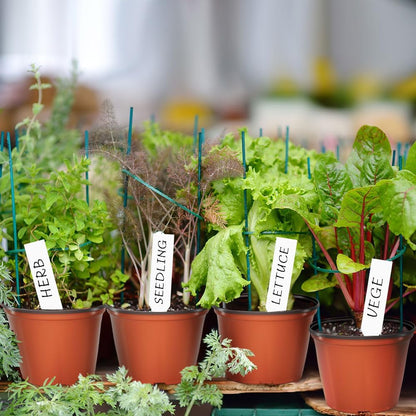 100 Pcs Plant Nursery Pots, 4 Inch Small Plant Seedling Pots with Labels Plastic Plant Flower Pots with Drainage Holes Indoor Outdoor for Succulent Cutting Transplanting