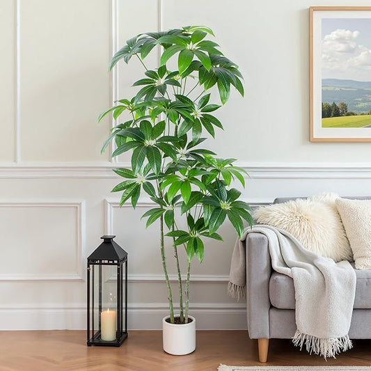 Money Tree Artificial - 6 FT Tall Fake Tree with Decorative planters - Large Faux Plants Lifelike Branches & Foliage - Artificial Plants Indoor for Home Office Living Room Decor