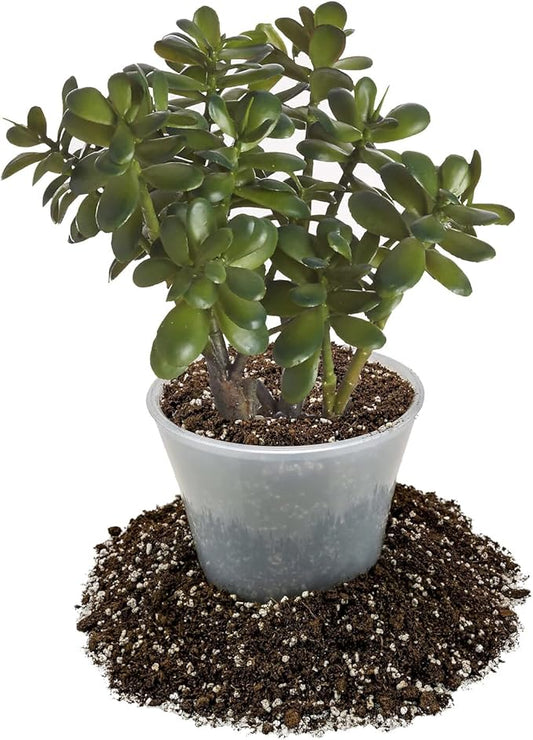 GARDENERA Premium Jade Plant Potting Soil Mix - (2 Quart Bag)
