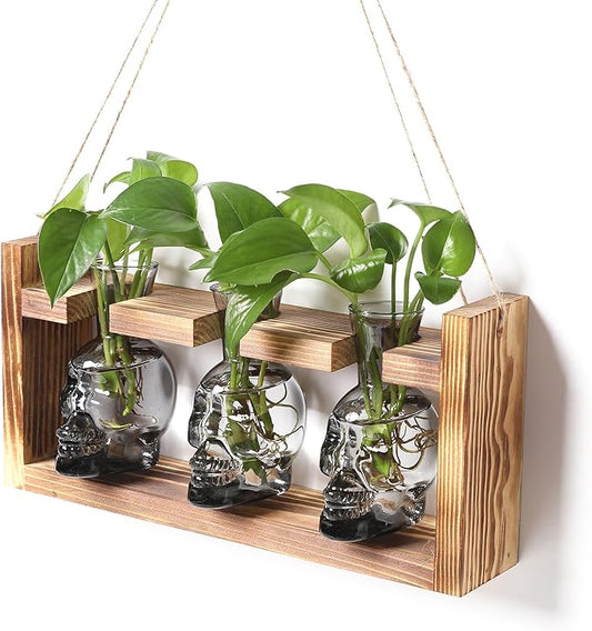Plant Terrarium Propagation Stations Hydroponics Halloween Skull Planter Vase Skulls Decor with Wooden Stand Gife for Father