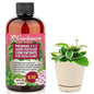 Gardenera Premium Liquid Hoya Fertilizer - 3-1-2 Concentrate for Indoor Plants and Flowers - Organic Plant Food - 8oz