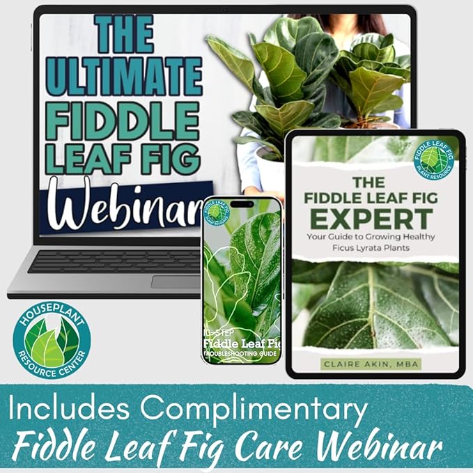 Fiddle Leaf Fig Plant Food – 3‑1‑2 Balanced NPK Liquid Fertilizer for Larger Leaves, Stronger Roots & Steady, Vibrant Growth | Suitable for All Ficus Including Ficus Lyrata | Made in USA | 8 oz