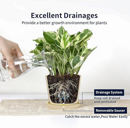 Selamica Ceramic Succulent Pots, 3.4 Inch Small Pots for Plants with Drainage Holes and Saucers, Succulent Planters for Indoor Plants, Cactus, Home Decor, Set of 4, Assorted Colors