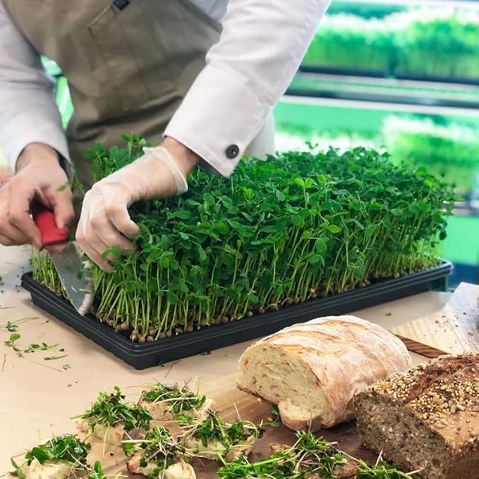 Active Grow Integrated Strip T5 2FT LED Grow Light - T5 Grow Lights for Indoor Plants, Flowers, Fruit, Tropical Plants & Germination - 10W - Red Bloom Spectrum - Linkable - 120-277V - 2-Pack