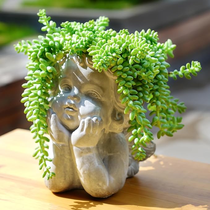 Donkey's Tail with Green Stripe Pot, Live Sedum Morganianum-Burro's Tail Succulent with Soil Mix, Rare House Plant for Home Office Wedding Indoor Outdoor Decoration, DIY Projects, Party Favor