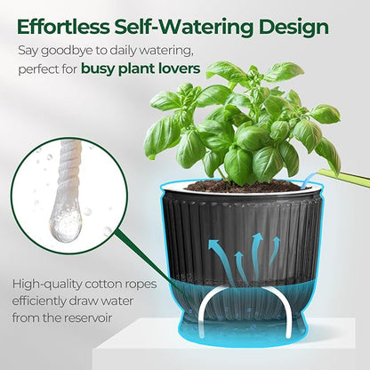 T4U 4.8 Inch Self Watering Plant Pot, 4 Pack Self Watering Pots, Self Watering Planter with Reservoir, Small Self Watering Pots for Indoor Plants, African Violets (4 Pack 4.8", Translucent Gray)