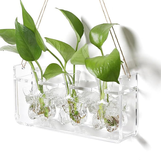 Clear Plant Propagation Station Plants Terrarium Planter Vase Birthday Gifts for Women Girl in Acrylic Stand Home Office Garden Decor