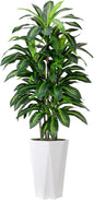 Artificial Dracaena Plant Indoor 5FT Fake Tree with White Diamond Planter Faux Yucca Tall Fake Floor Plant in Pot Artificial Trees for Home Office Living Room Decor Indoor