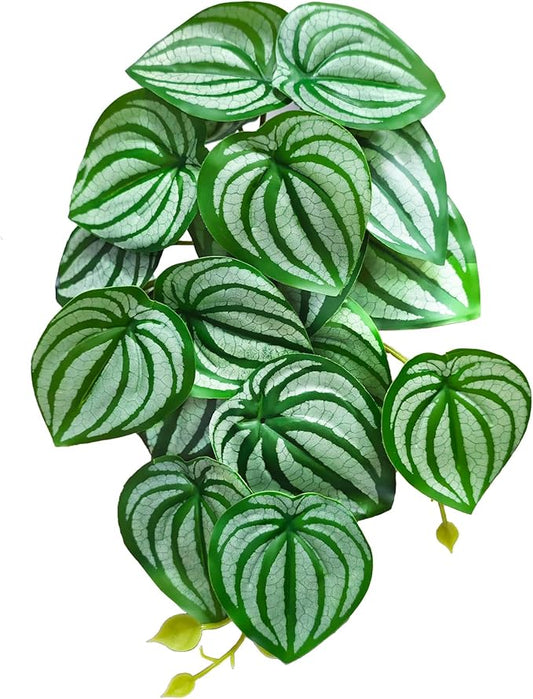 Woyrise Reptile Plants, Terrarium Hanging Plant Vines, Artificial Leaves with Suction Cup, Bearded Dragon Tank Accessories for Gecko Lizard Snake Frog Tortoise Decorations - Calathea Orbifolia