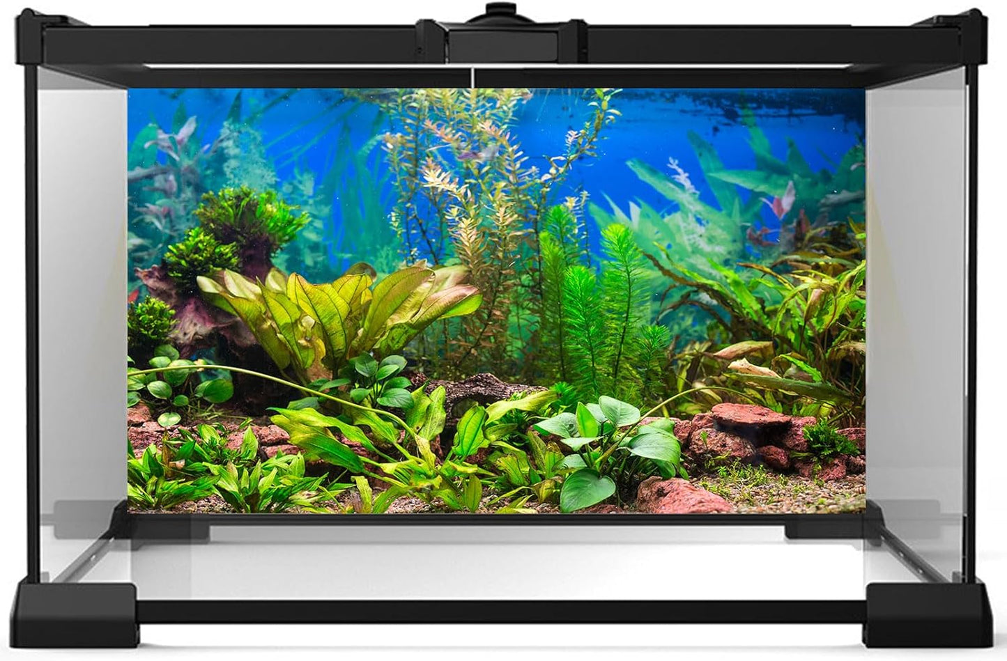 Aquarium Background Various Underwater Grass Plants Aquarium Backdrop Vivid and Fresh Green Aquatic Plants Stone River Bed and Dead Wood Purple Stone Fish Tank Background 72x24in