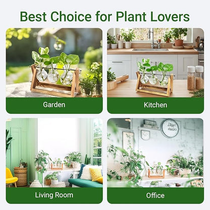 Propagation Station, Plants Terrarium, Plants Lover Gifts for Women,Plant Cutting Holder Home décor,Gifts for Women,House Warming New Home-3 Bulbs-C Type