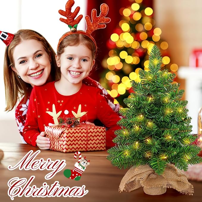 Small Christmas Tree with Lights,2ft Pre Lit Artificial Mini Xmas Tree for Tabletop,Outdoor,Bedroom,Office Decorations,Includes 50 Led Warm Lights,73 PVC Branch Tips,Green（Battery Operated）