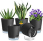 4 inch Self Watering Pots for Indoor Plants, 5 Pack Small Flower Plant Pots with Drainage Holes and Clear Reservoirs, Visible Water Level, Plastic Planters with Wicking Rope, Black