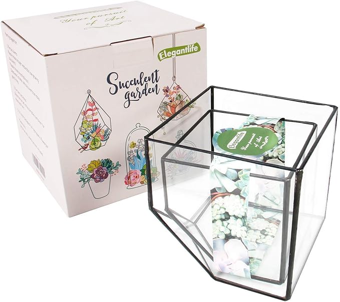 ELEGANTLIFE Glass Geometric Plant Terrarium Container, Flower Pot Tabletop Planter Decor Glass Display Box Succulent & Air Planter for Home Garden Office Decoration(Black Cubic Set of 2)