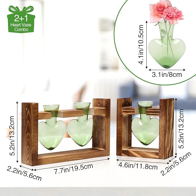 2+1 Plant Terrarium Plant Propagation Station Birthday Gifts for Women Home Office Decor with Wooden Stand