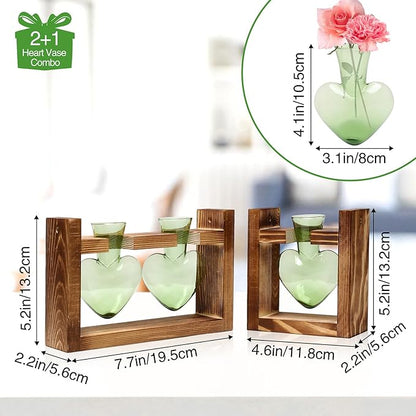 2+1 Plant Terrarium Plant Propagation Station Birthday Gifts for Women Home Office Decor with Wooden Stand