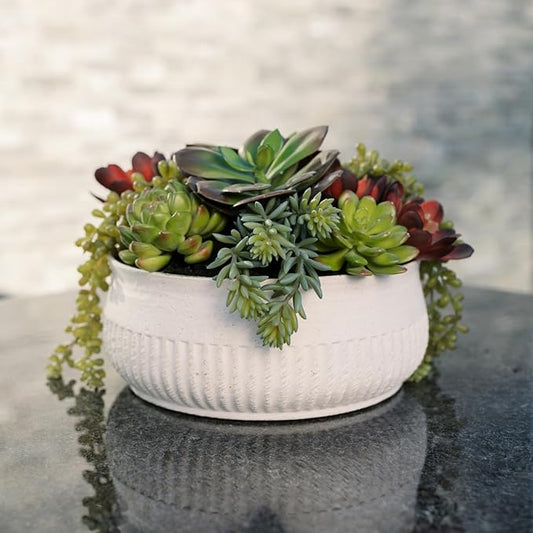 Round Faux Succulent Arrangement, 12" Premium Artificial Indoor Plant Enhances Interior Design, Display on any Surface in Your Home Adding an Inviting Touch of Nature, White Planter Pot Included