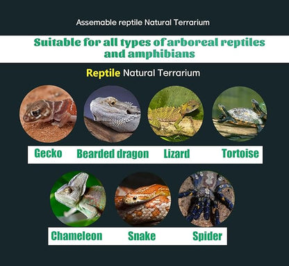 Woyrise Reptile Artificial Plants Terrarium Decor, Fake Desert Plants Bearded Dragon Tank Decorations Accessories fit Crested Gecko Leopard Lizard Chameleon Ball Python Snake Frog - Tillandsia