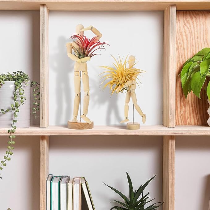 ANPHSIN 2 Sizes Wooden Air Plant Holder - Unique Jointed Mannequin Airplant Stand with Adjustable Poses, Tillandsia Display Container for Gifts Home Office Decoration, 2 pcs