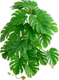Woyrise Reptile Plants, Terrarium Hanging Plant Vines, Artificial Leaves with Suction Cup, Bearded Dragon Tank Accessories for Gecko Lizard Snake Frog Tortoise Decorations - Monstera