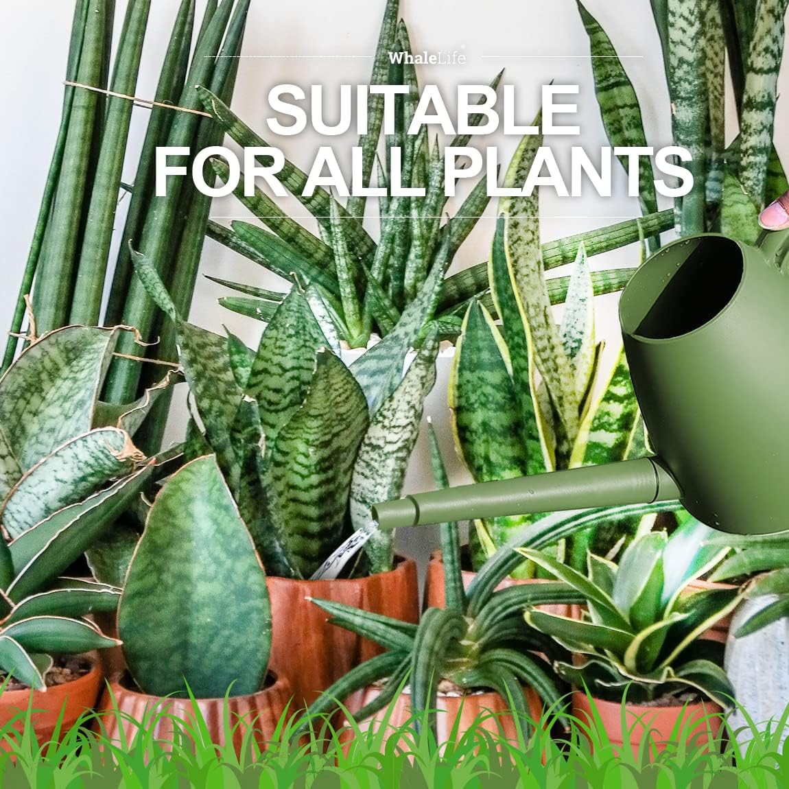 WhaleLife Indoor Watering Can for House Bonsai Plants (2.0L, Green)