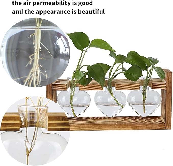 Plant Terrarium with Wooden Stand,Heart Shaped Transparent Glass Vase Flower Pot Hydroponics Plant Propagation Station for Hydroponics Plants Home Office Decor (Retro Box + 3