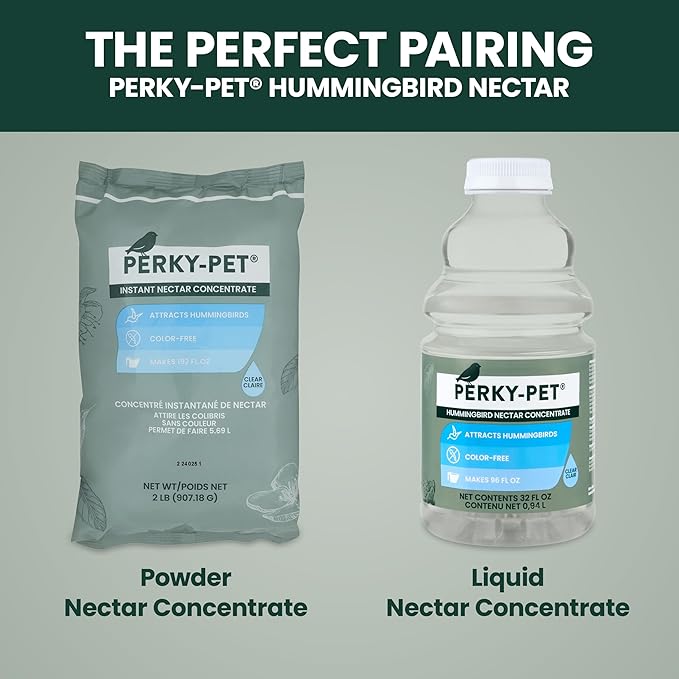 Perky-Pet Cactus Top Fill Glass Hummingbird Feeder with Built-in Bee Guards & Removable Perches - 32 oz Nectar Capacity - Hummingbird Feeder for Outdoors - 9111-1SR
