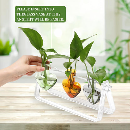 Clear Plant Terrarium Propagation Stations with Acrylic Stand Birthday Gifts for Women Office Home Decor