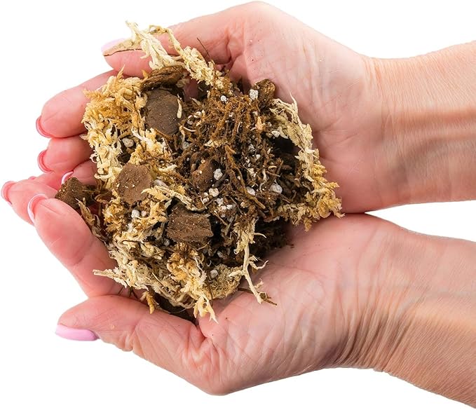 Gardenera Premium Orchid Mix by GARDENERA | Fern + New Zealand Pine Bark + Sphagnum Moss + Perlite | Best for Growing and Repotting Orchids - 2 Quart Bag