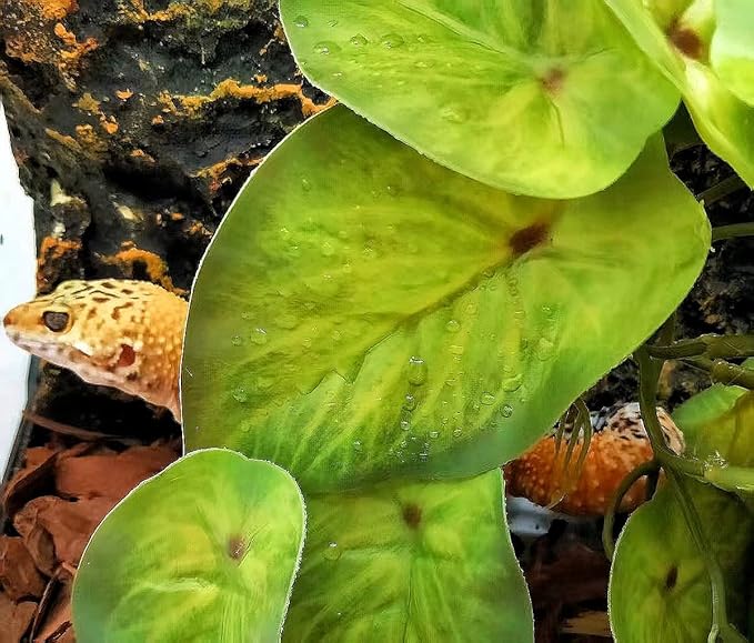 Reptile Plants for Terrarium Decor, Amphibian Habitat Decor, Snake Tank Accessories, Artificial Hanging Plants with Suction Cup-2 Packs (Arrowhead)