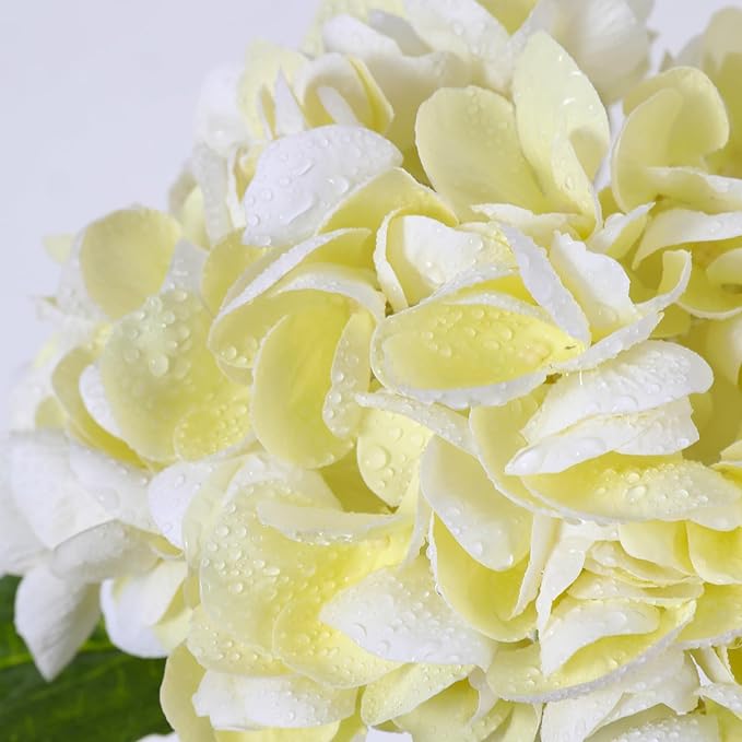 Nubry 22.44In Beige Hydrangea Artificial Flowers,4Pcs Latex Faux Real Touch Large Hydrangea Flowers with Long Stems & Leaves for Home Office Decor Wedding Party Arrangements(Beige)