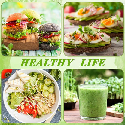 Picowe Stainless Steel Sprouting Trays Seed Sprouting Kit with Stainless Steel Mesh Tray Seed Starter Tray Seed Sprouting Kit (2pack, 10.4 x 7.7inch)