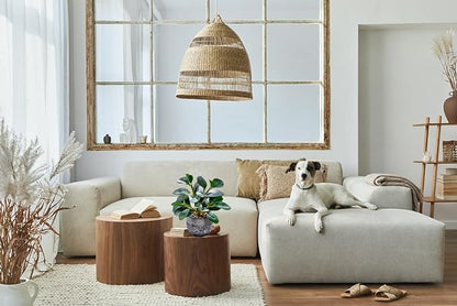 AlphaAcc Artificial Plants Potted Real Looking Small Faux Plant with Rustic Black Cement Planter for Kitchen Office Desk Bookshelf Decor (Ficus Plant)