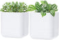 Phoenix Vine 6.5-Inch Wall Mounted Self-Watering Planter Pot for Indoor Houseplants and Herbs | Modern Hanging Planter for Window Sills, Bathroom Walls, Home & Office Décor, White, Set of 2, 01-WP-W-2