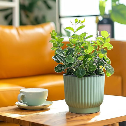 T4U 4.5 Inch Plant Pots Self Watering, 6 Pack African Violet Pots, Small Plant Pots for Plants, Small Indoor Plant Pot, Self Watering Planter for African Violet, Succulents (6 Pack 4.5" Pots, Green)