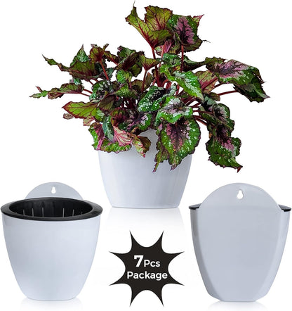 ShoppeWatch Self Watering Wall Planters for Indoor Plants 7 Pack | Hanging Planters Medium 5 Inch with Hooks | White Wall Pots for Plants | 5.0 x 5.3 inches PL34