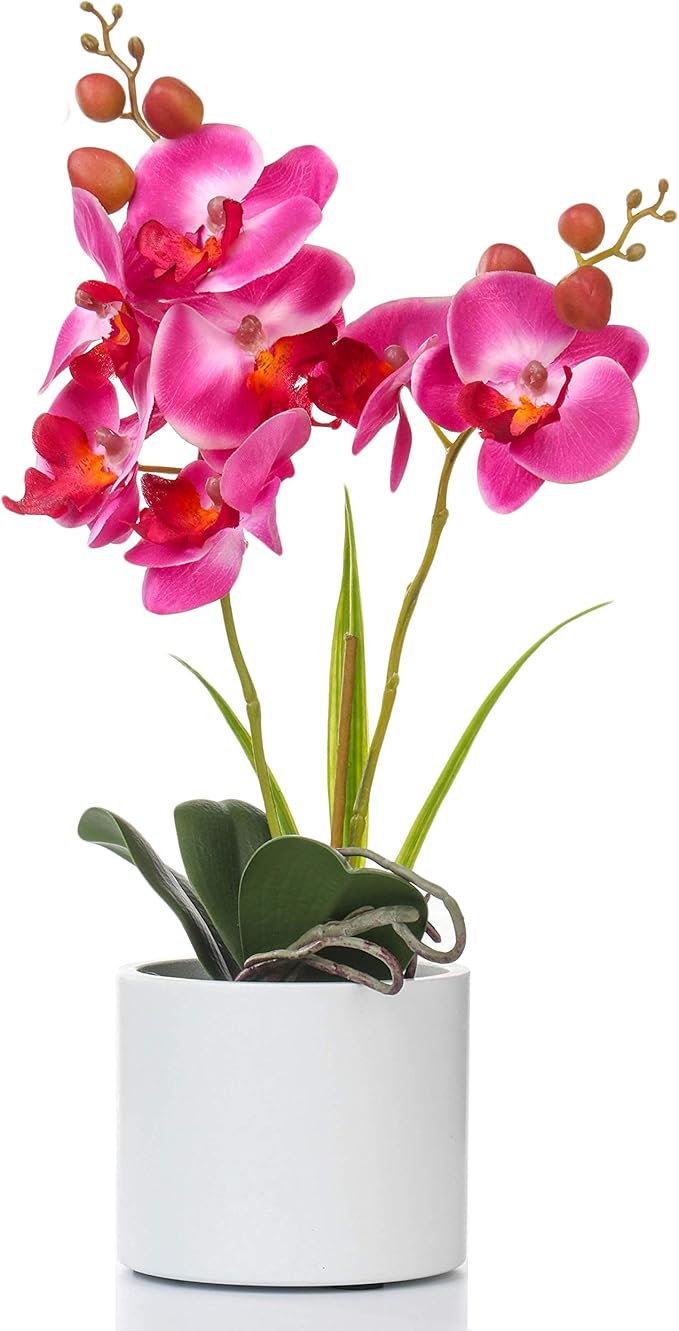 Jusdreen Artificial Purple Orchid, Phalaenopsis in Ceramic Pot with Vase for Home Office Table Decor, Flower Centerpiece