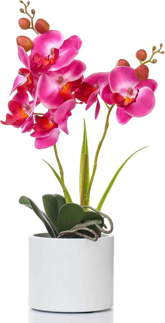 Jusdreen Artificial Purple Orchid, Phalaenopsis in Ceramic Pot with Vase for Home Office Table Decor, Flower Centerpiece