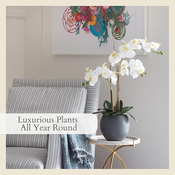 CG Hunter Faux White Orchid Plant, Premium Artificial Indoor Flower Display Stands 25-Inches with Beautiful Sculptural Blooms and Foliage That Lasts Forever, Grey Planter Pot Included