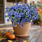 Artificial Flowers Outdoor UV Resistant Fake Plants, 12 Bundles Silk Daisy in Pots for Porch Patio Garden, Faux Potted Home Decor for Outside (Blue)