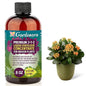 Gardenera Premium Liquid Fertilizer - 3-1-2 Concentrate for Indoor Plants & Flowers - Organic Plant Food - 8oz