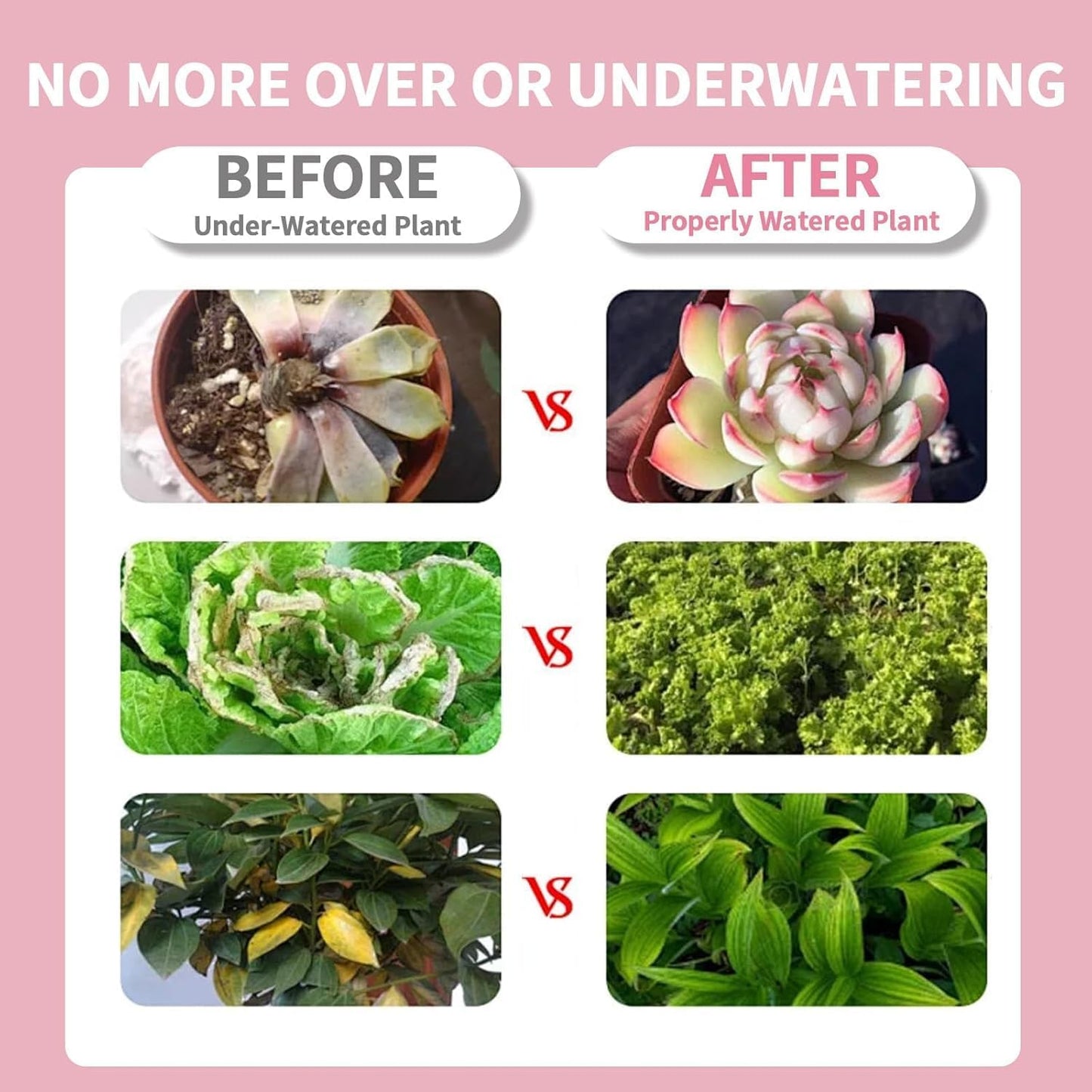 Soil Moisture Meter, Garden Plant Water Meter, Plants Moisture Meter, Lawn Soil Tester, Soil Water Gauge for Potted Plants, Plant Moisture Monitor No Battery Required Free Plant Watering Guide (2)