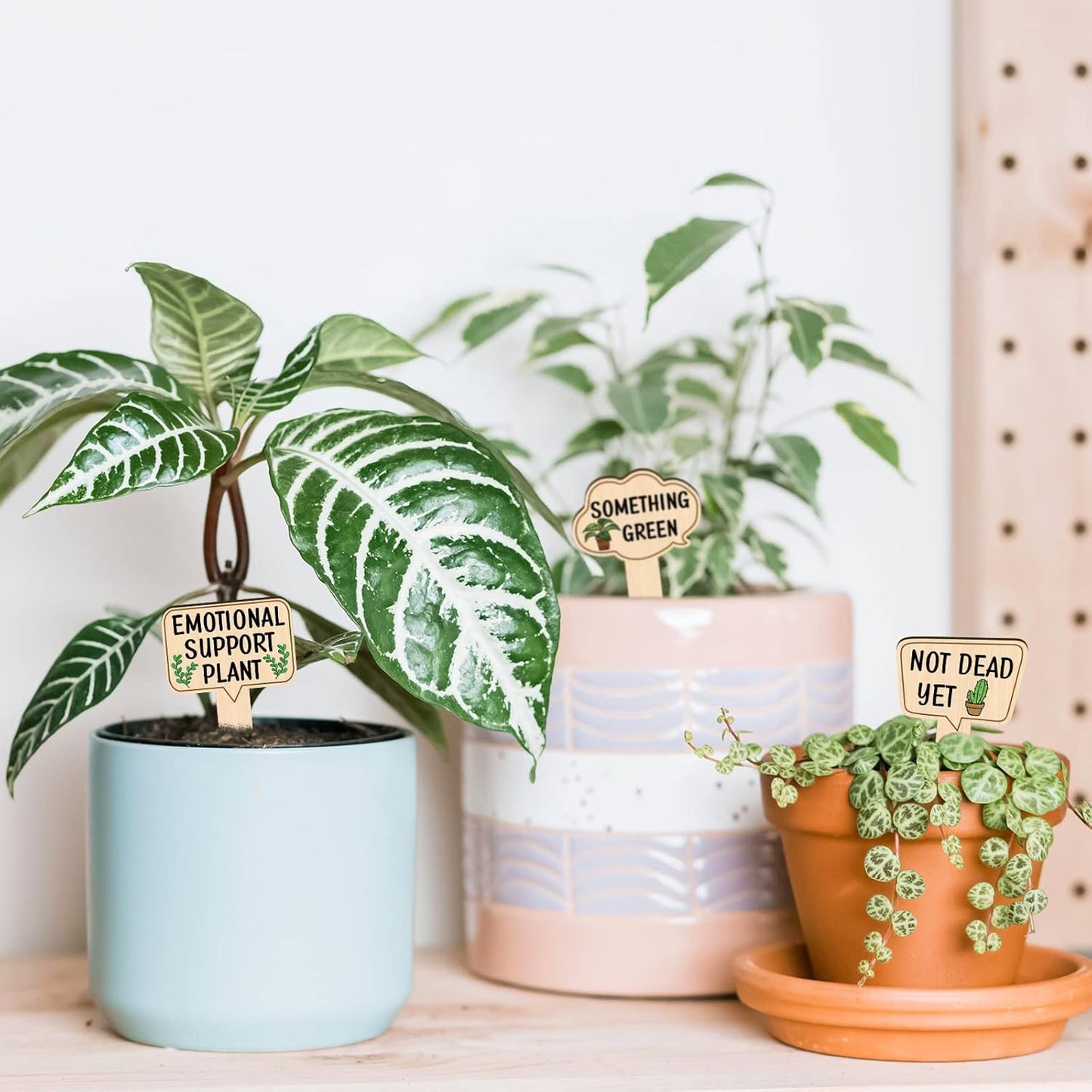 Huray Rayho Funny Wooden Plant Markers for Succulent Flowers Greenery Plants Tags 15-Pack Waterproof Wood Plant Labels Outdoor Indoor Patio Supplies Garden Stakes for Potted Plant Novelty Gifts