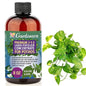 Gardenera Premium Liquid Pothos Fertilizer - 3-1-2 Concentrate for Indoor Plants and Flowers - Organic Plant Food - 8oz