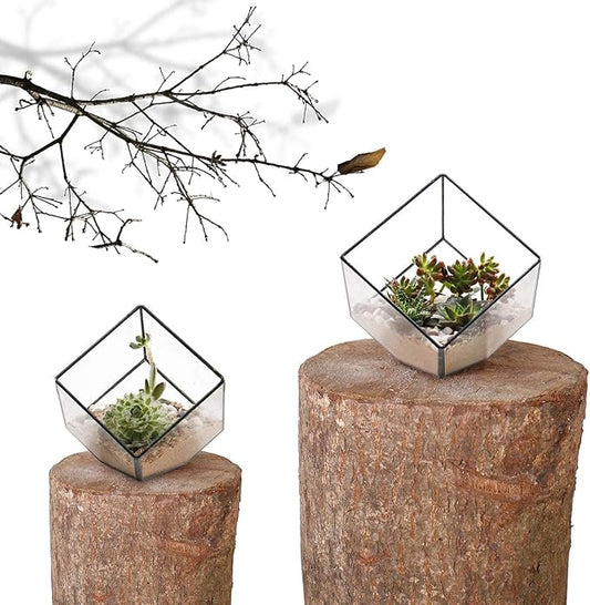 ELEGANTLIFE Glass Geometric Plant Terrarium Container, Flower Pot Tabletop Planter Decor Glass Display Box Succulent & Air Planter for Home Garden Office Decoration(Black Cubic Set of 2)
