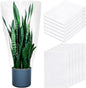 6 Pcs Winter Plant Covers Freeze Protection Small Plastic Clear Film Cover Shelter Bags Waterproof Frost Cloth for Outdoor Plants Greenhouse Garden Rain Frost Protection(15.7 x 27.6 Inch)