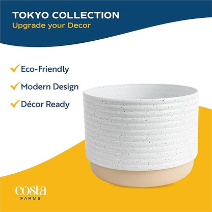 Costa Farms Silver Streak Pothos Live Plant in Self Watering Pot, Air Purifying Indoor Houseplant, Perfect for Home, Room, or Office Decor, Great House Warming or Birthday Gift, 10-16 Inches Tall