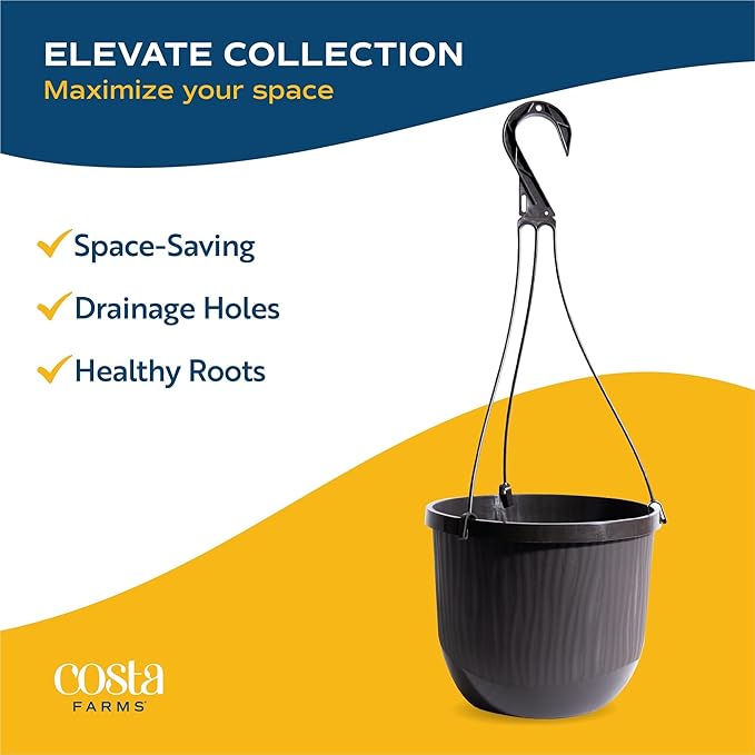 Costa Farms Golden Pothos Live Plant, Devil's Ivy in Hanging Basket Pot, Easy to Maintain, Large Air Purifying Indoor Houseplant, Home, Room, or Office Decor, House Warming or Birthday Gift