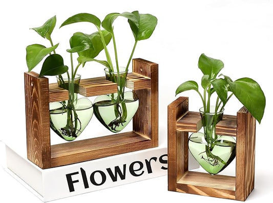 2+1 Plant Terrarium Plant Propagation Station Birthday Gifts for Women Home Office Decor with Wooden Stand